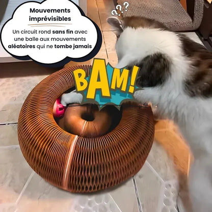 Griffoir interactif pour chats