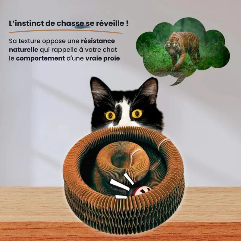 Griffoir interactif pour chats